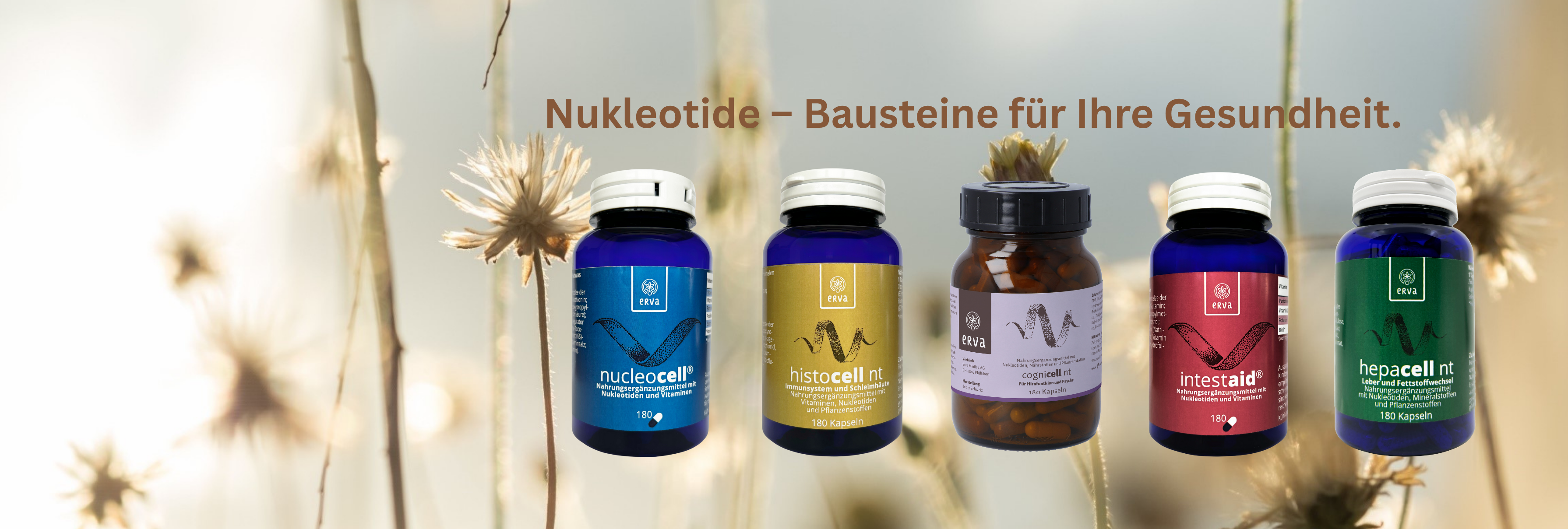 Nukleotide Bausteine